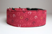 Buckle Collar in "Horseshoes"