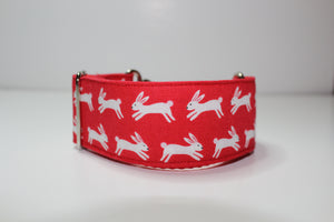 Sighthound Collar in "Run, Rabbit!"