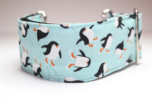 Sighthound Collar in "Penguins"
